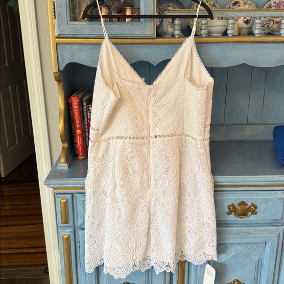 Abercrombie & Fitch Ivory Lace Dress - Picture 4 of 4